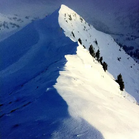 Διαμέρισμα Alpsrental Freja *